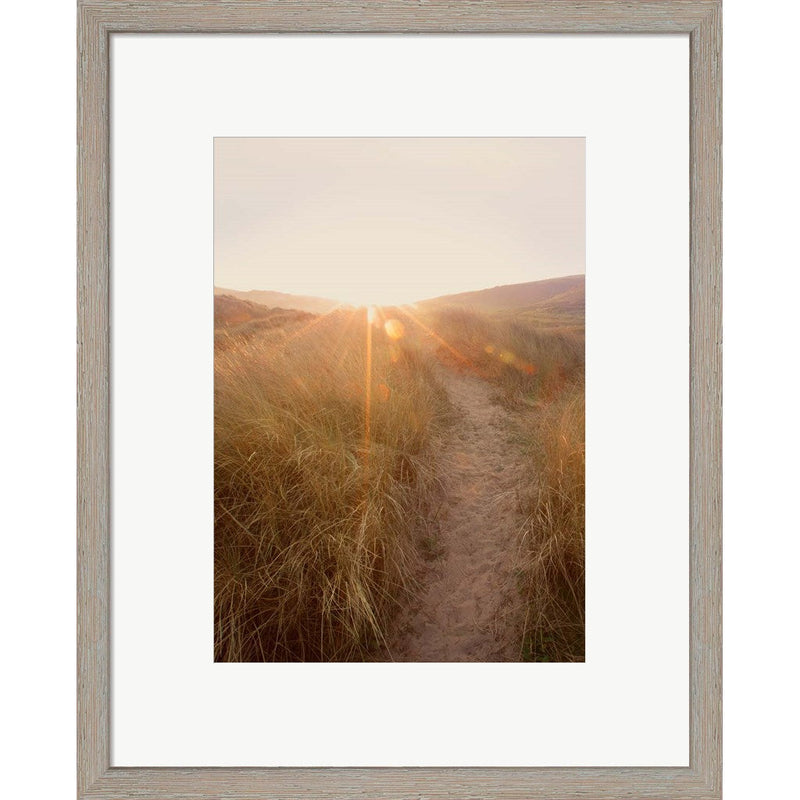 Dunes with Seagulls 4 by Ian Winstanley, Framed Art