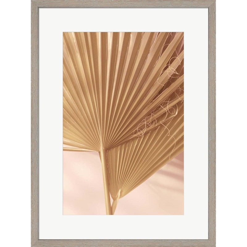 Pastel Fan 1 by Ian Winstanley, Framed Art