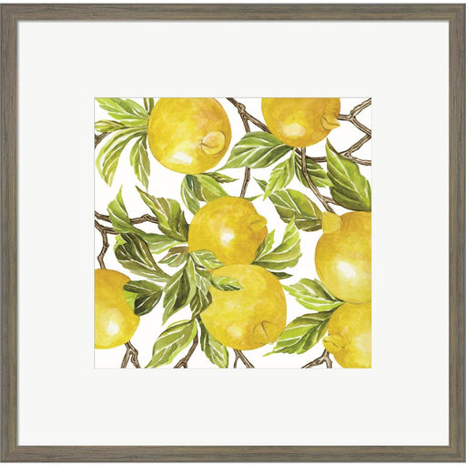 Lemon Square by Cindy Jacobs, Framed Art