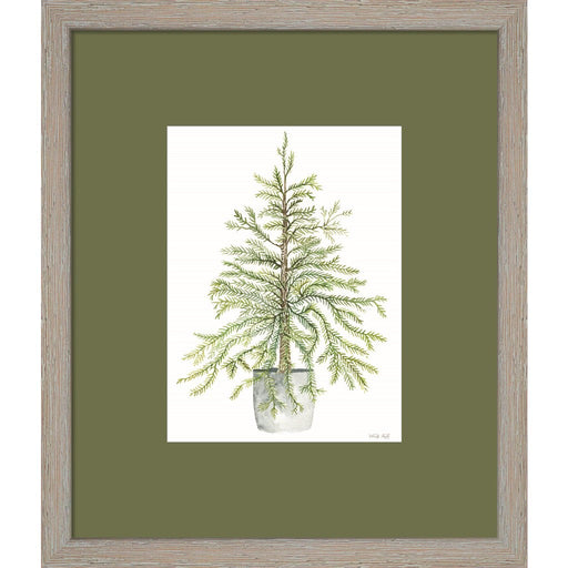 Pine Tree in Pot I by Cindy Jacobs, Framed Art