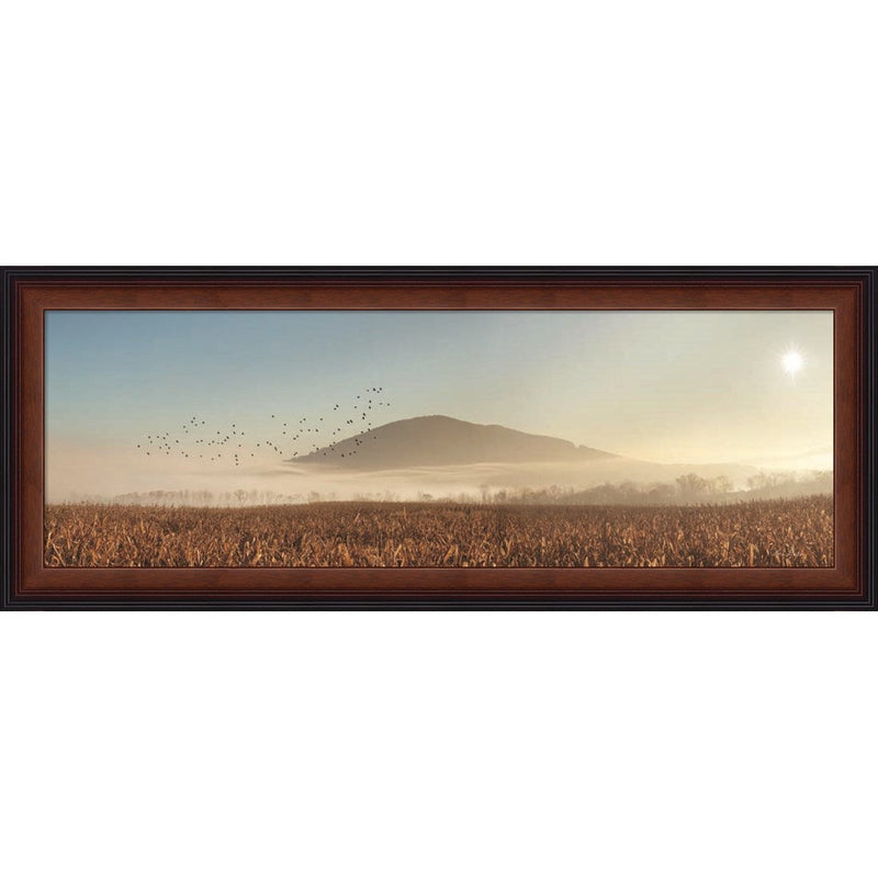 Rakers Mill Road Sunrise by Lori Deiter, Framed Art