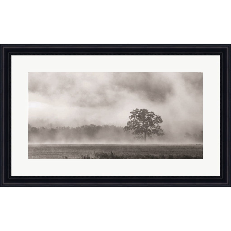 Old Oak in Fog by Lori Deiter, Framed Art