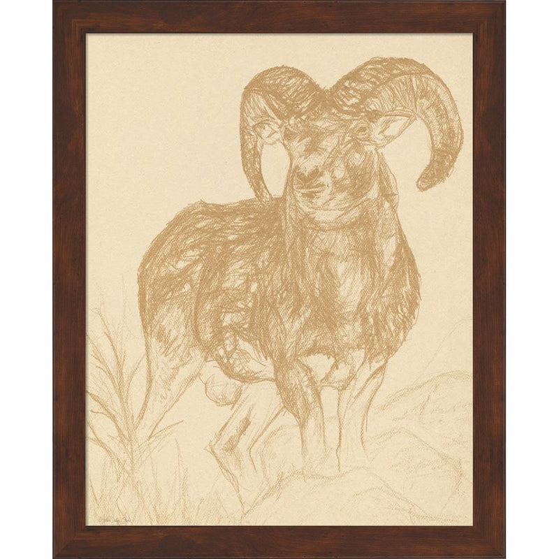 Big Horn Sketch by Stellar Design Studio, Framed Art