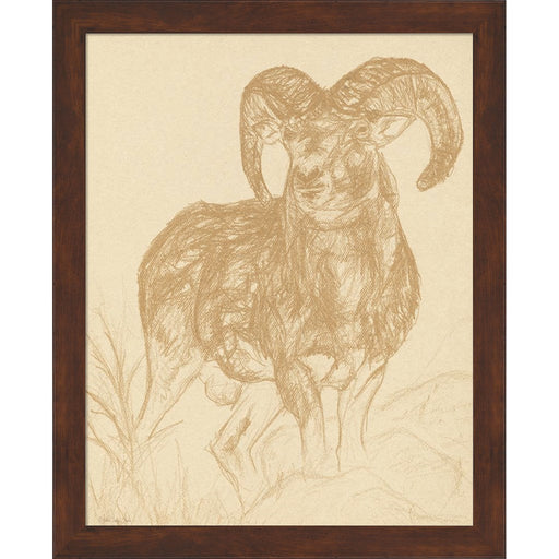 Big Horn Sketch by Stellar Design Studio, Framed Art
