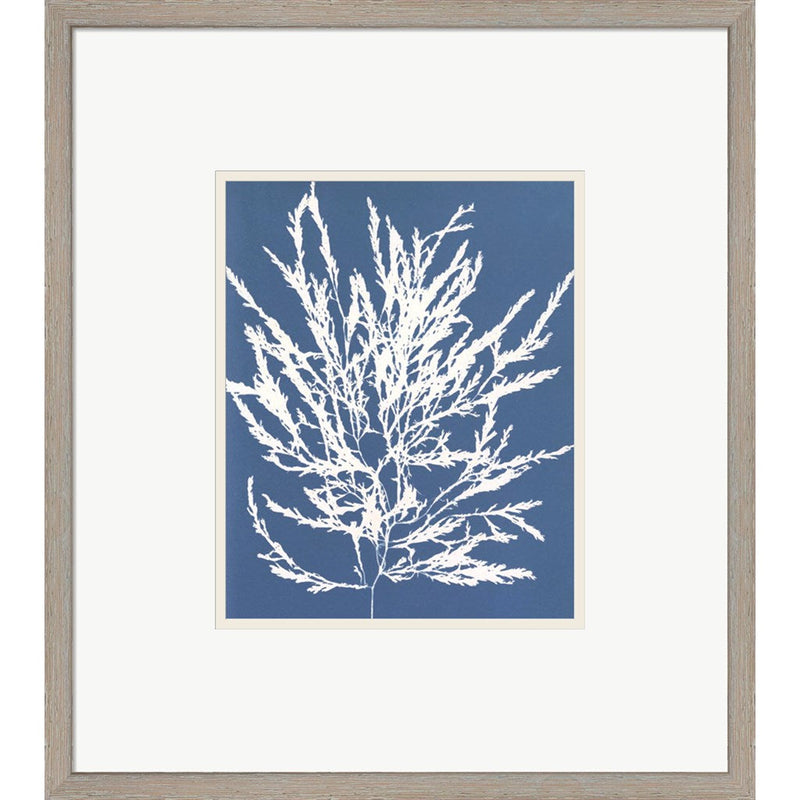 Blue Botanical I by Seven Trees Design, Framed Art