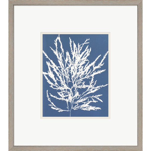 Blue Botanical I by Seven Trees Design, Framed Art