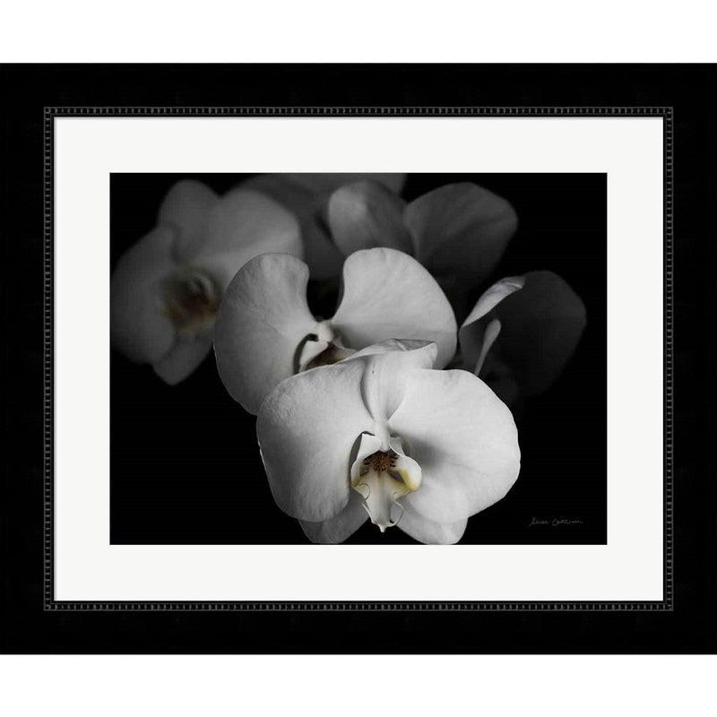 White Orchid I by Elise Catterall, Framed Art