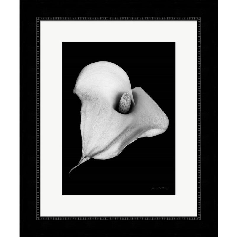 Elegant Calla III by Elise Catterall, Framed Art