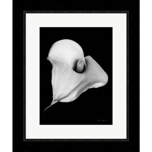Elegant Calla III by Elise Catterall, Framed Art