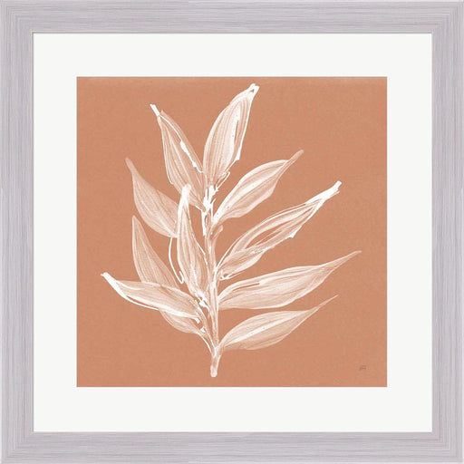 Leaf Study IV Pheasant by Chris Paschke, Framed Art