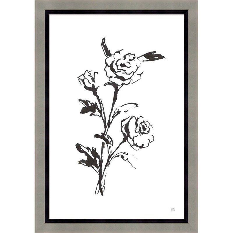 Line Ranunculus II by Chris Paschke, Framed Art