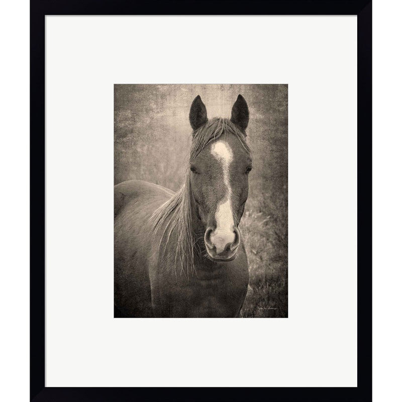 Heres Looking at You II by Debra Van Swearingen, Framed Art
