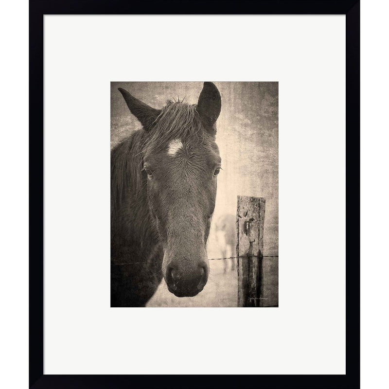 Heres Looking at You I by Debra Van Swearingen, Framed Art