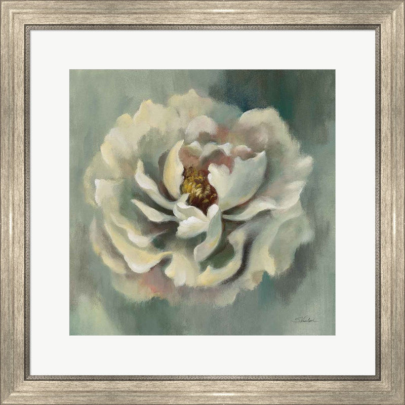 Dancing Petals by Silvia Vassileva, Framed Art