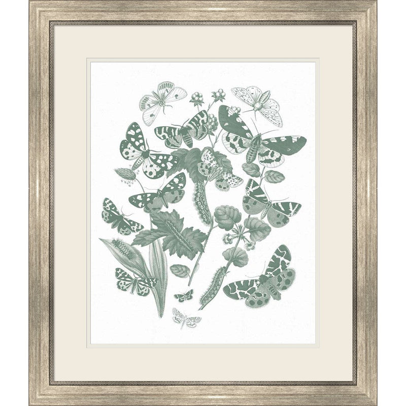 Butterfly Bouquet IV Sage by Wild Apple Portfolio, Framed Art