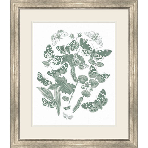 Butterfly Bouquet IV Sage by Wild Apple Portfolio, Framed Art