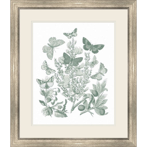 Butterfly Bouquet II Sage by Wild Apple Portfolio, Framed Art