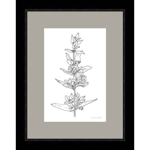 Sketched Flowers by Sara Zieve Miller, Framed Art