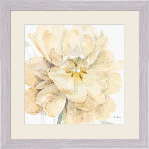 Spring Meadow V Cream by Lisa Audit, Framed Art
