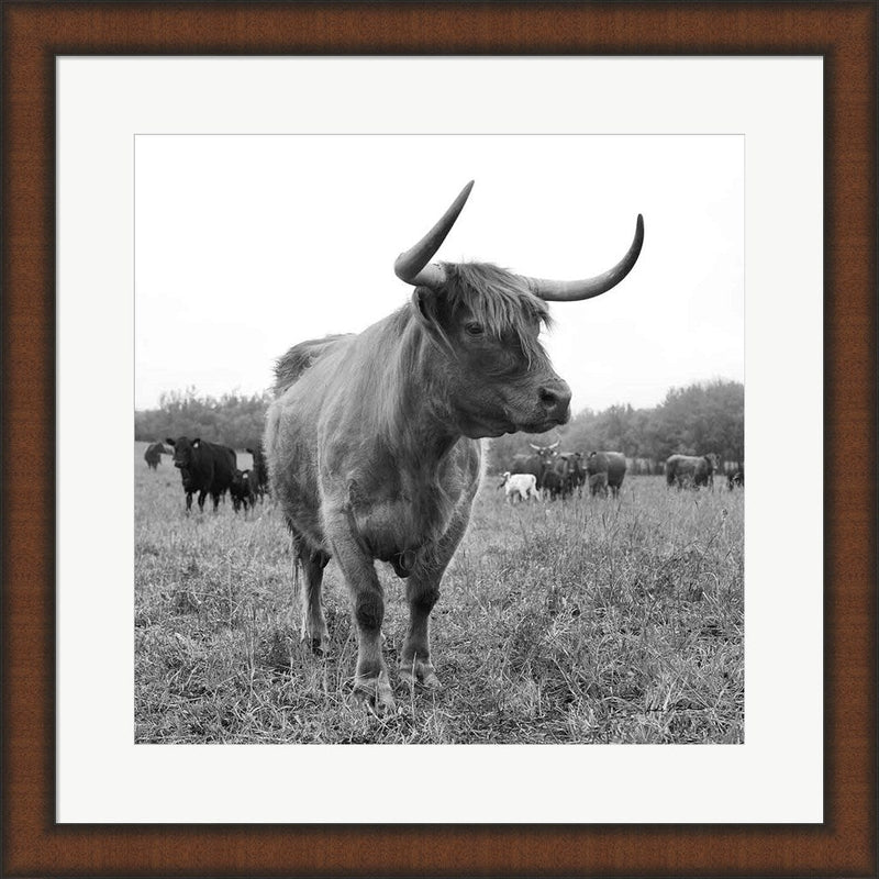 On the Ranch II by Andre Eichman, Framed Art