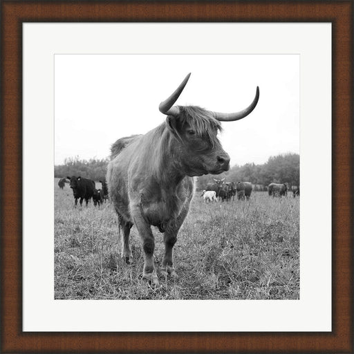 On the Ranch II by Andre Eichman, Framed Art