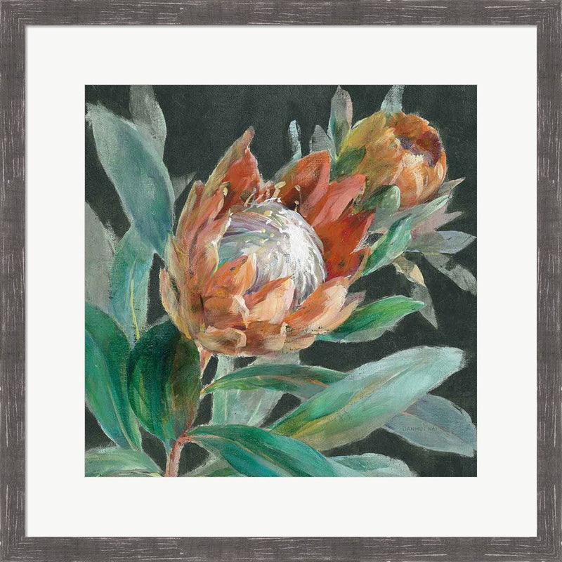 Deep Tropical Protea Crop by Danhui Nai, Framed Art