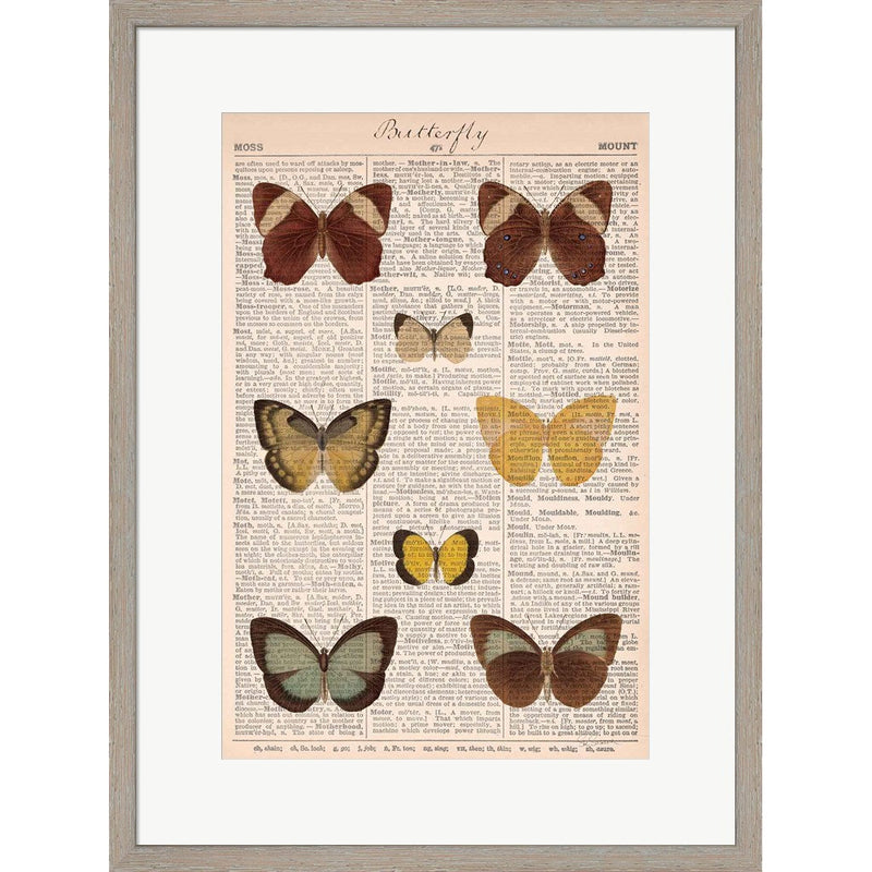 American Butterflies II by Sue Schlabach, Framed Art