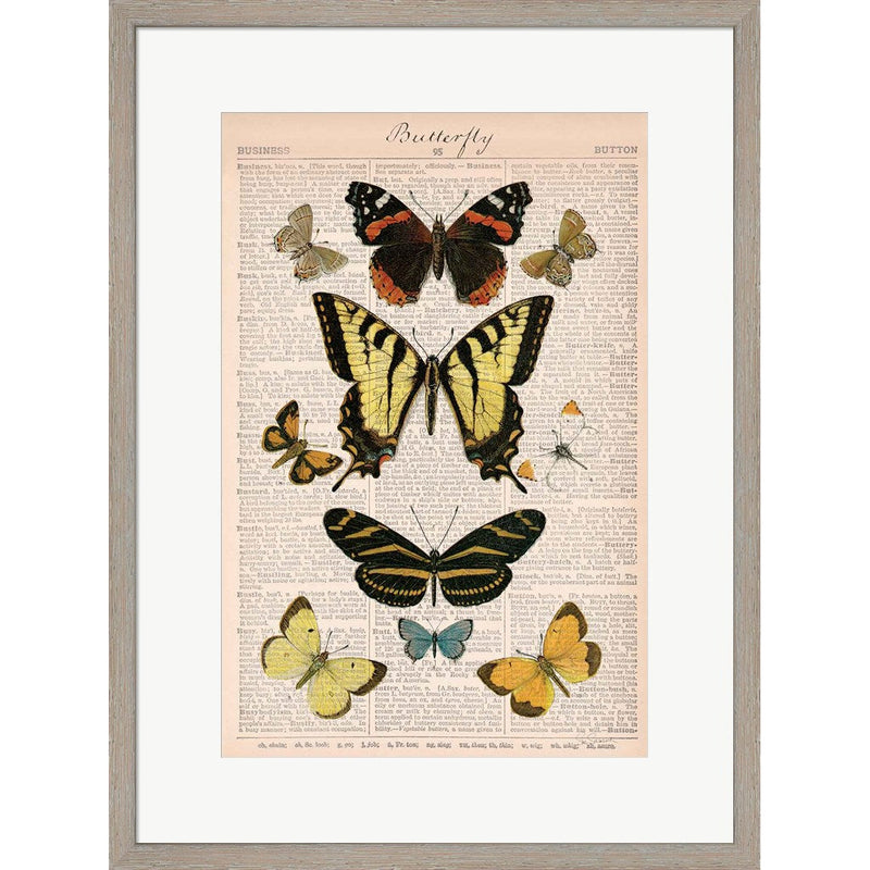 American Butterflies I by Sue Schlabach, Framed Art