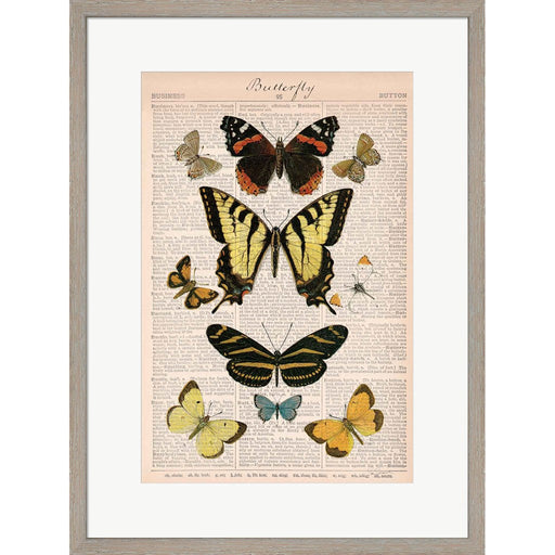 American Butterflies I by Sue Schlabach, Framed Art