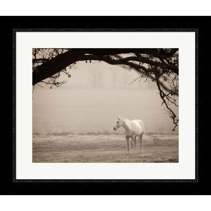 Hazy Horse II by Debra Van Swearingen, Framed Art