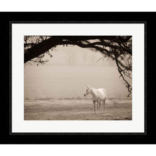 Hazy Horse II by Debra Van Swearingen, Framed Art