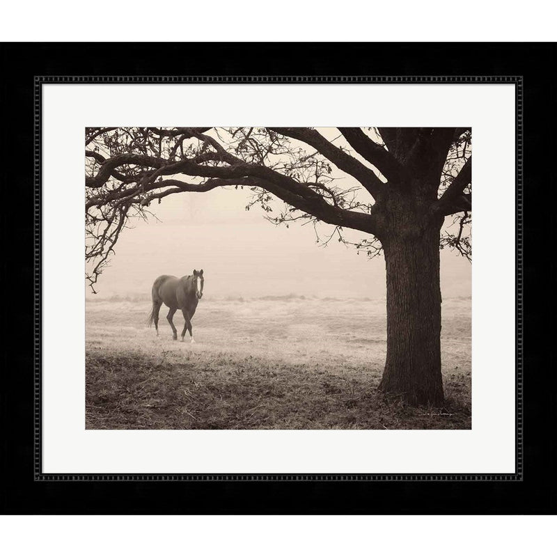 Hazy Horse I by Debra Van Swearingen, Framed Art