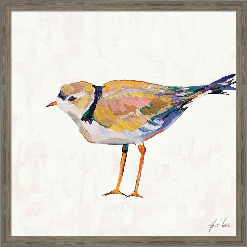 Coastal Plover IV Linen by Jeanette Vertentes, Framed Art