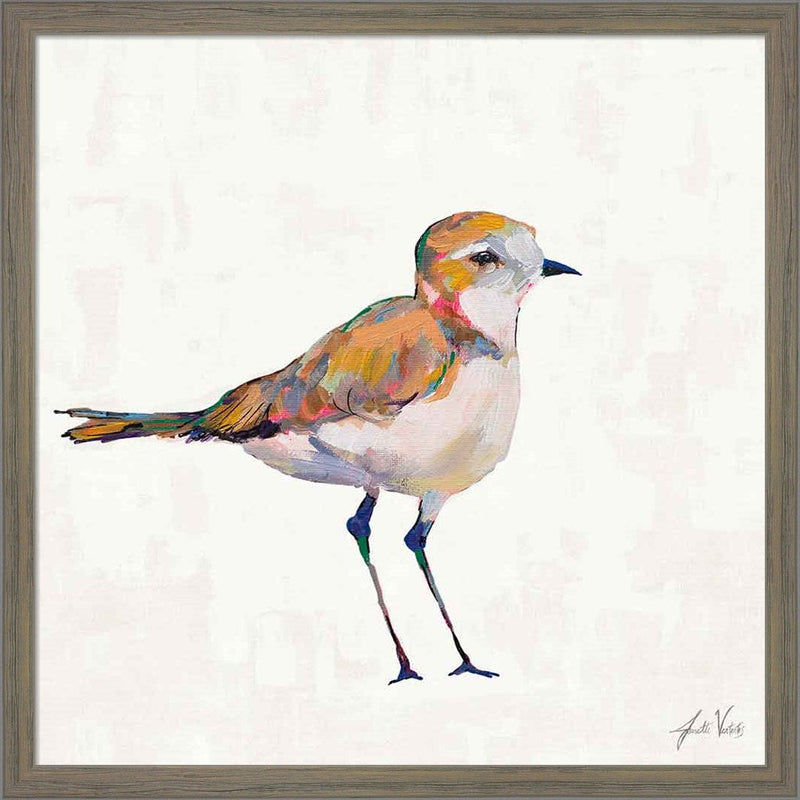 Coastal Plover III Linen by Jeanette Vertentes, Framed Art