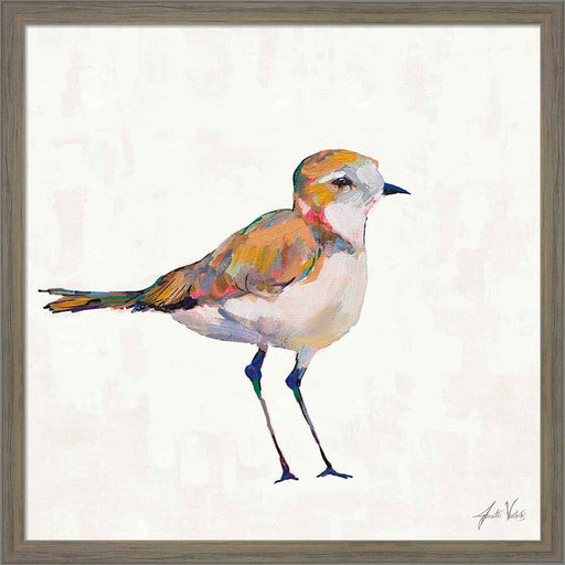Coastal Plover III Linen by Jeanette Vertentes, Framed Art