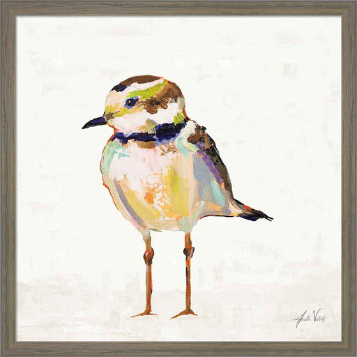 Coastal Plover II Linen by Jeanette Vertentes, Framed Art