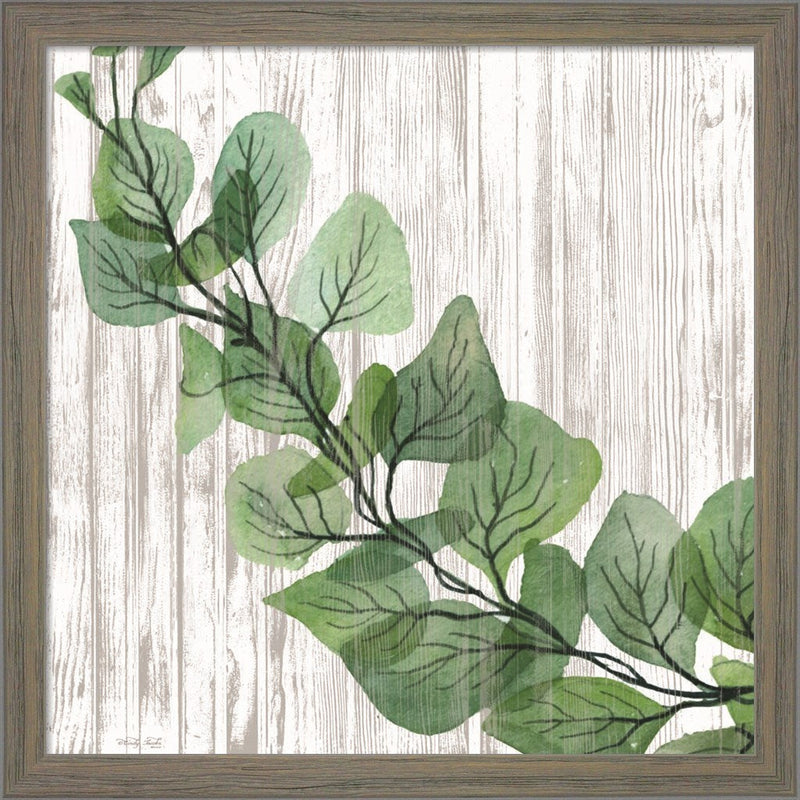 Eucalyptus on White by Cindy Jacobs, Framed Art