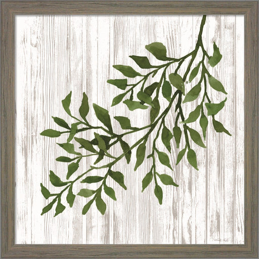 Leaves on White by Cindy Jacobs, Framed Art