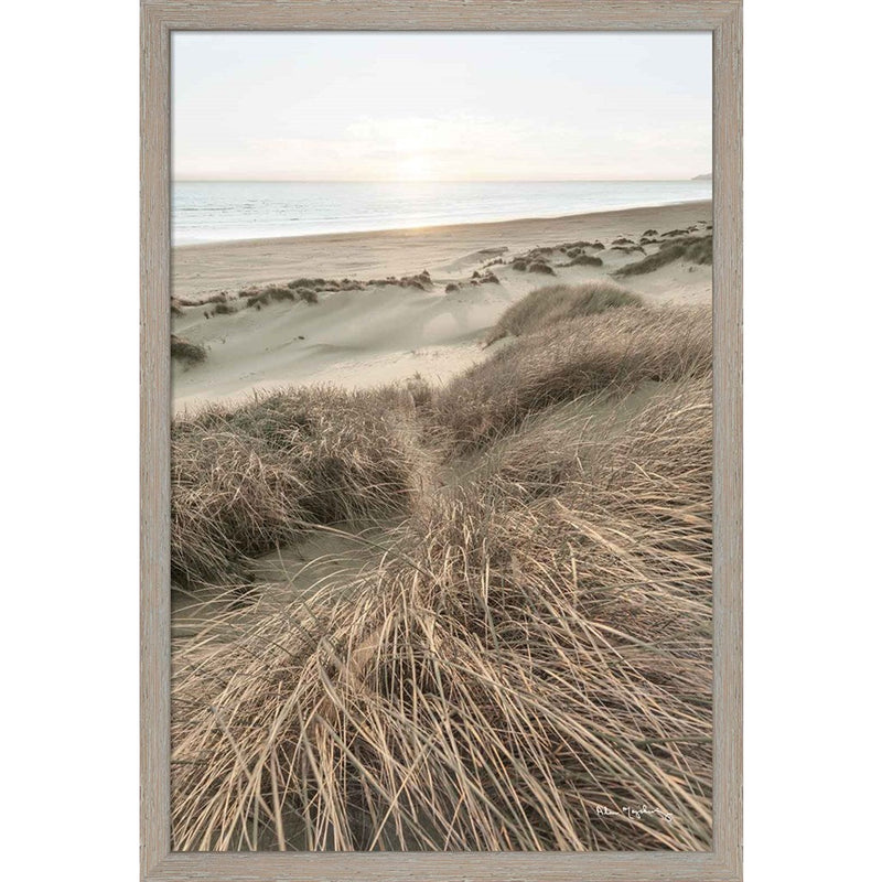 Beach Grasses by Alan Majchrowicz, Framed Art