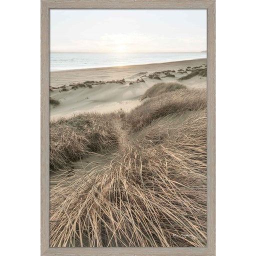 Beach Grasses by Alan Majchrowicz, Framed Art