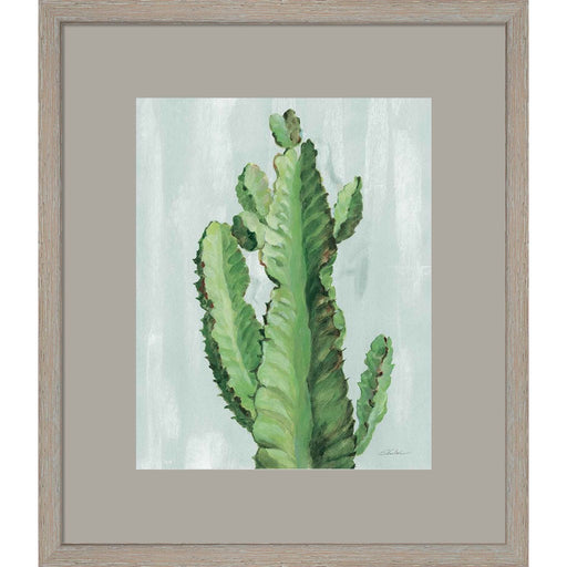 Front Yard Cactus II Slate by Silvia Vassileva, Framed Art