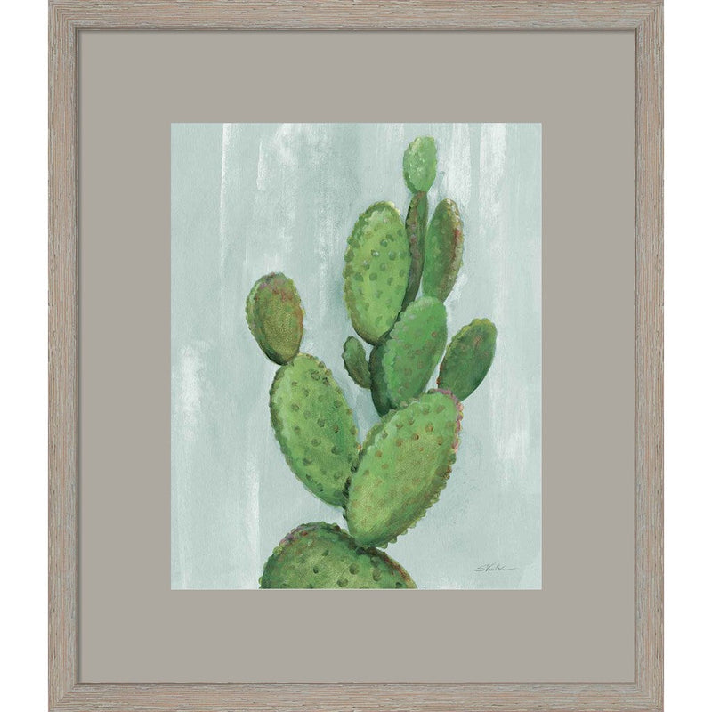 Front Yard Cactus I Slate by Silvia Vassileva, Framed Art