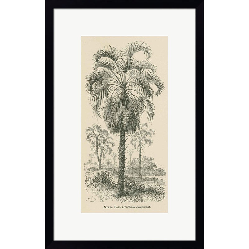 Creators Wonders Book Palm by Wild Apple Portfolio, Framed Art