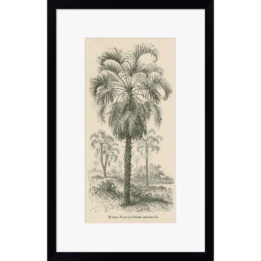 Creators Wonders Book Palm by Wild Apple Portfolio, Framed Art