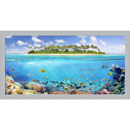 The Coral Reef by Pangea Images, Framed Art