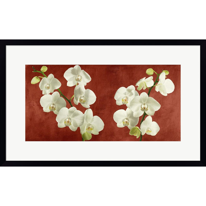 Orchids on Red Background by Andrea Antinori, Framed Art
