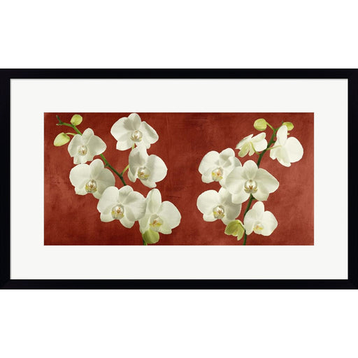 Orchids on Red Background by Andrea Antinori, Framed Art