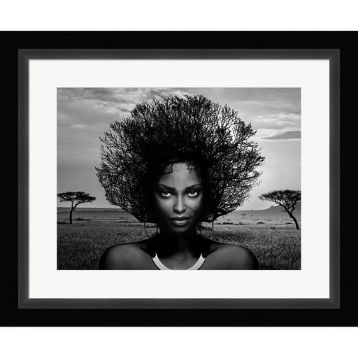 Serengeti Queen by Julian Lauren, Framed Art