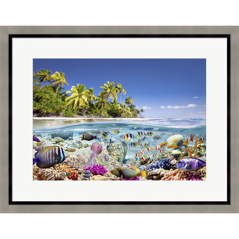 Underwater life by Pangea Images, Framed Art