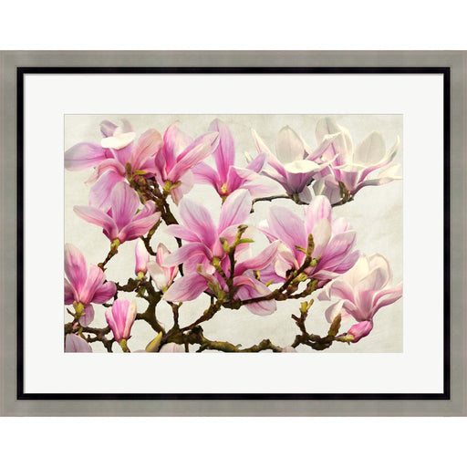 Magnolia Branch (neutral) by Luca Villa, Framed Art